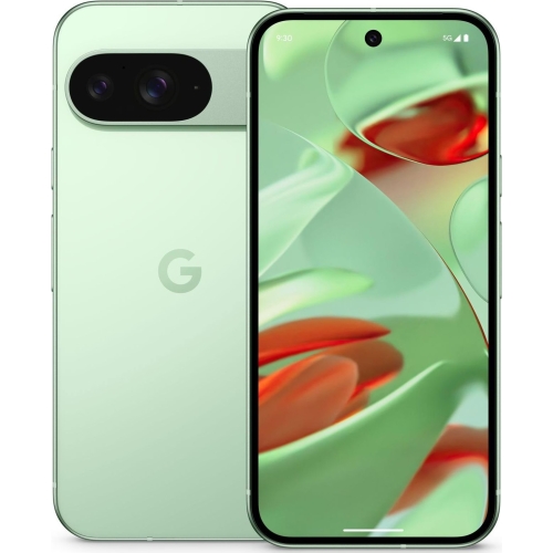 Google Pixel 9 Hülle